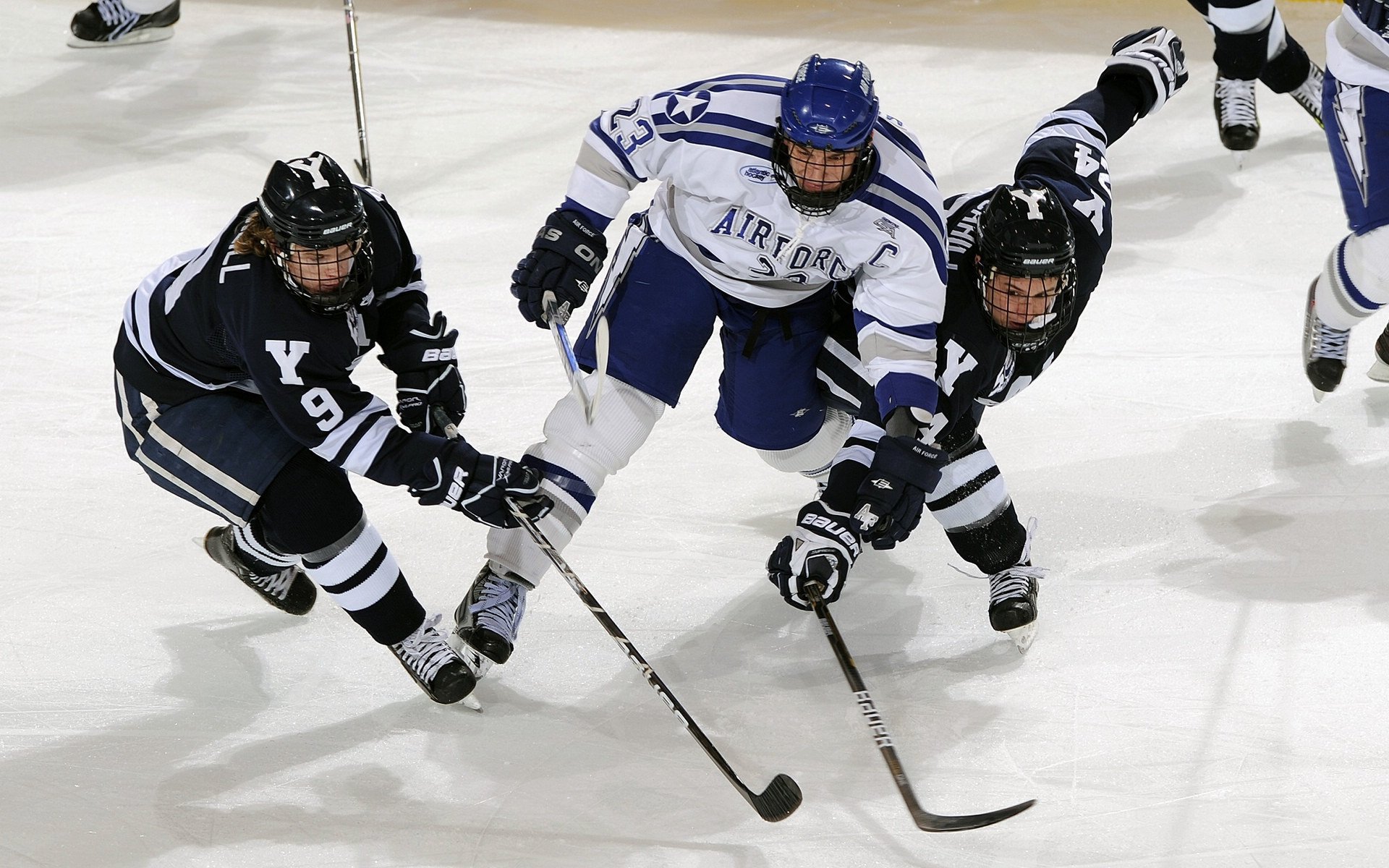 中国篮球职业联赛裁判员培训体系建设，中国篮协裁判员管理条例暨实施细则